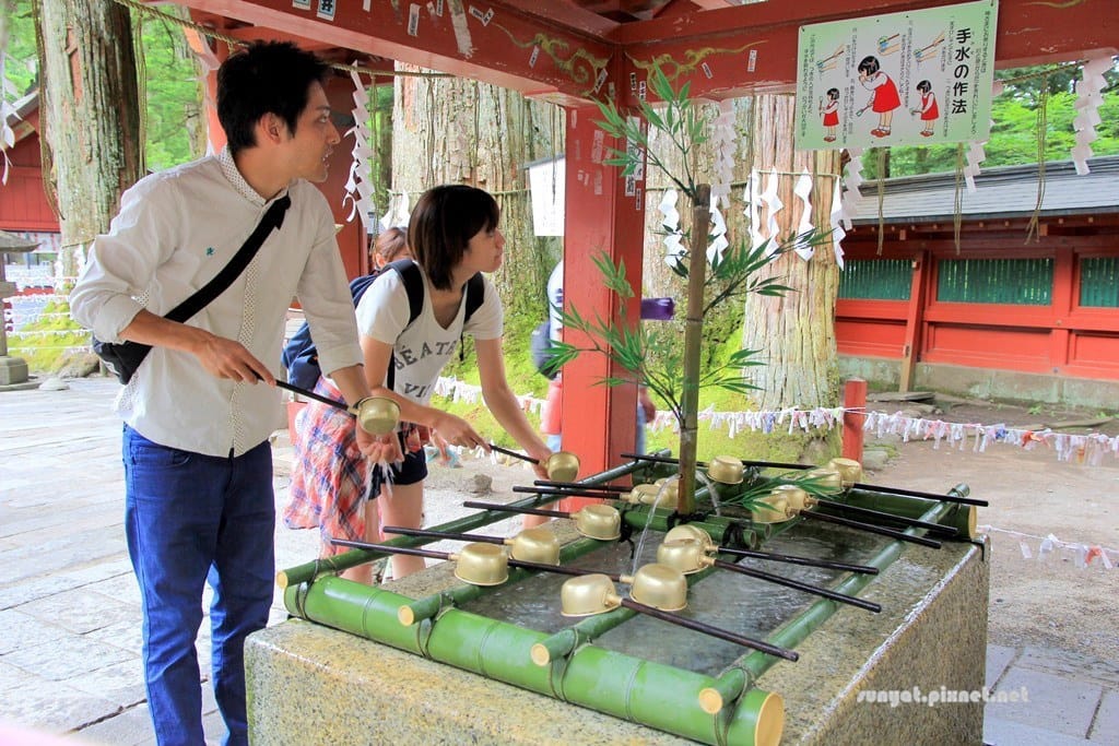 IMG_9132.JPG IMG_9132.JPG