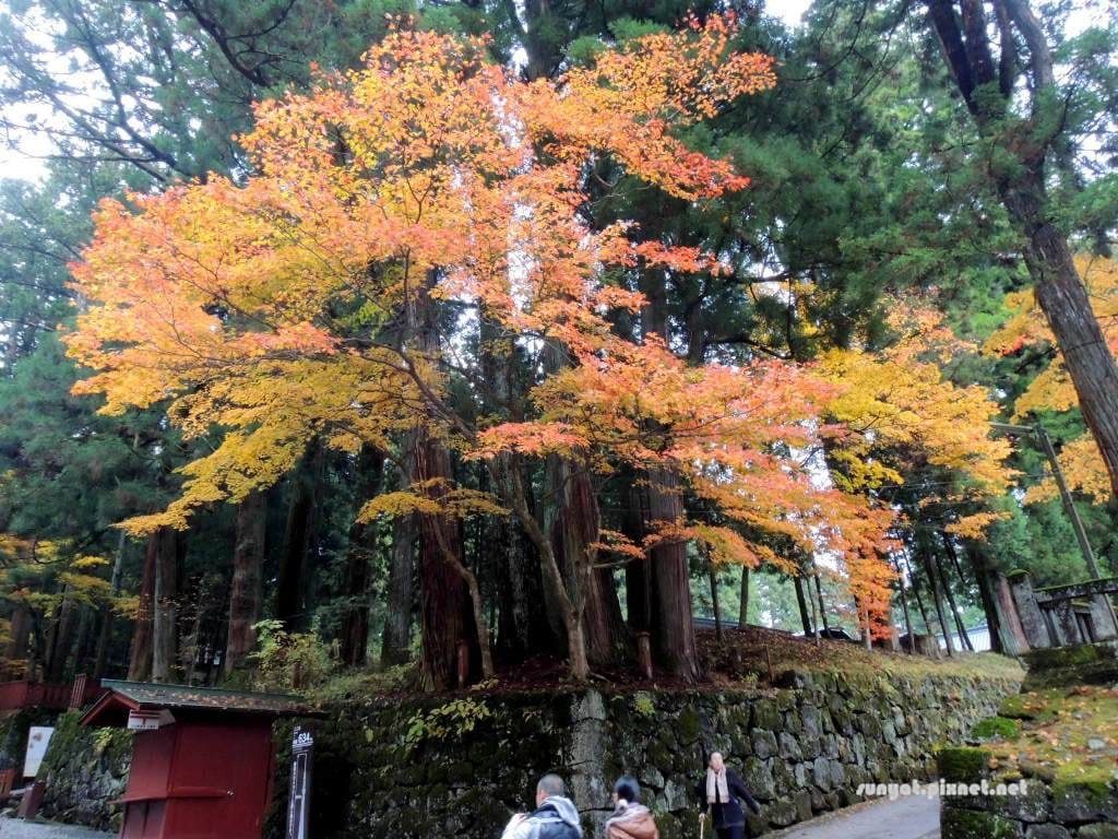 DSCN1525.JPG DSCN1525.JPG