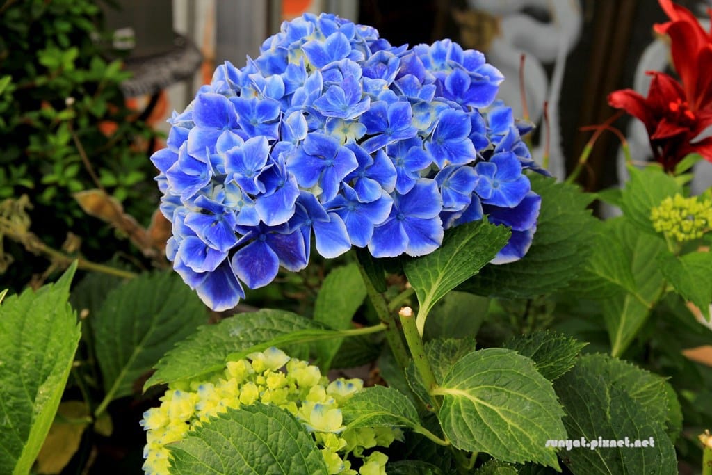 IMG_9281.JPG IMG_9281.JPG