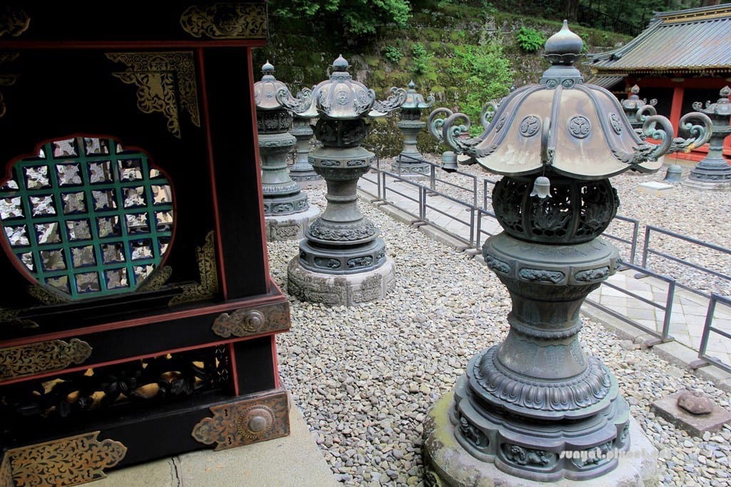 IMG_9162.JPG IMG_9162.JPG