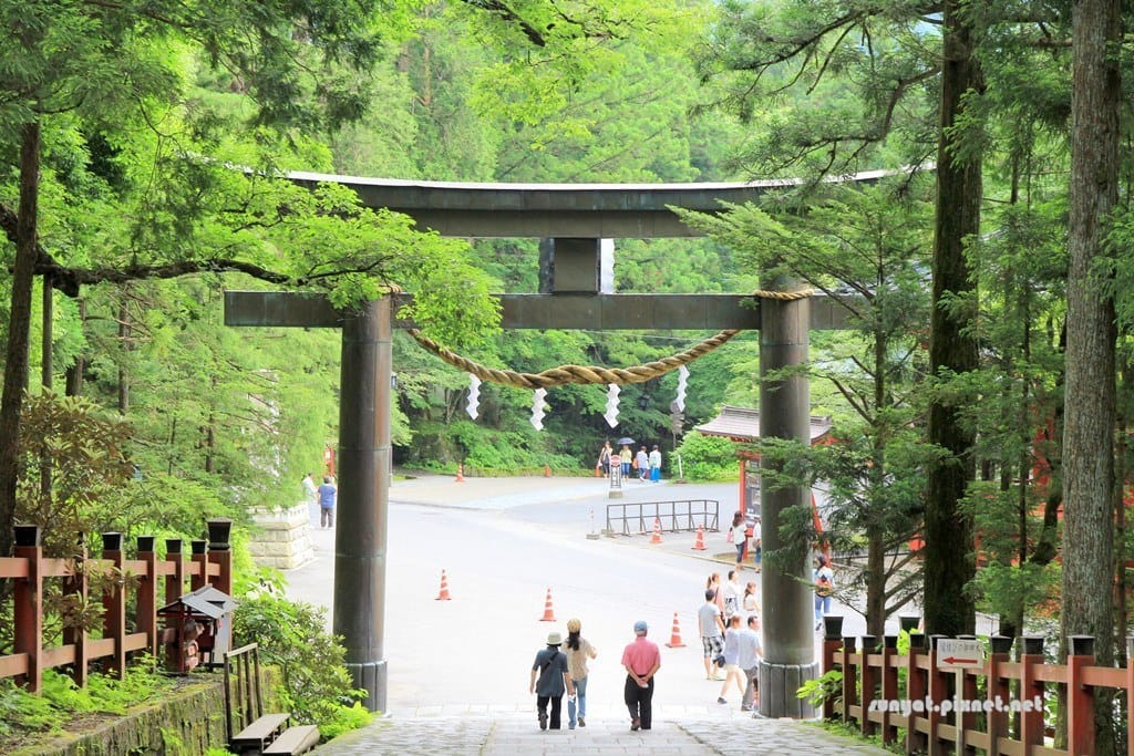 IMG_9136.JPG IMG_9136.JPG