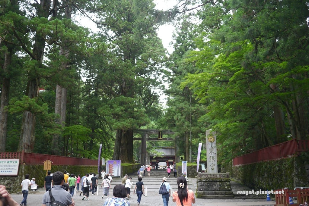 P1030559.JPG P1030559.JPG