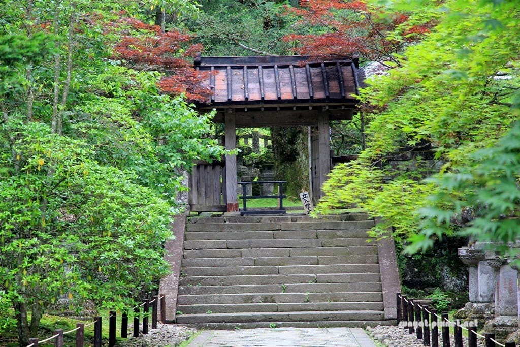 IMG_9154.JPG IMG_9154.JPG