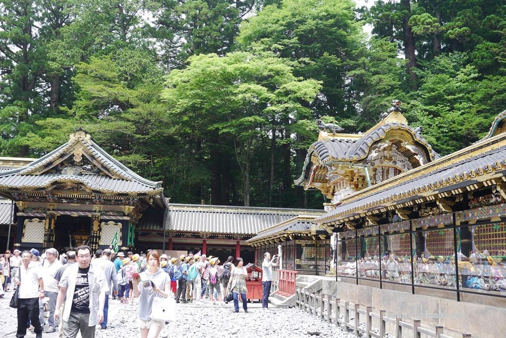 P1030572.JPG P1030572.JPG