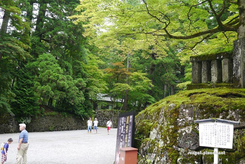 P1030557.JPG P1030557.JPG