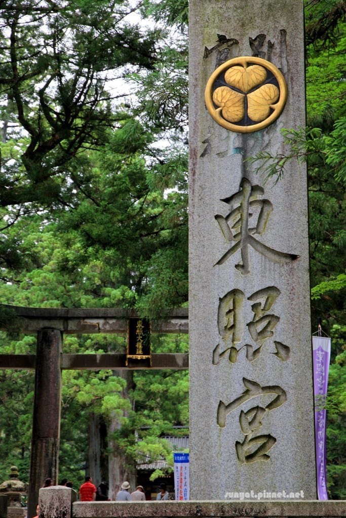 IMG_9032.JPG IMG_9032.JPG