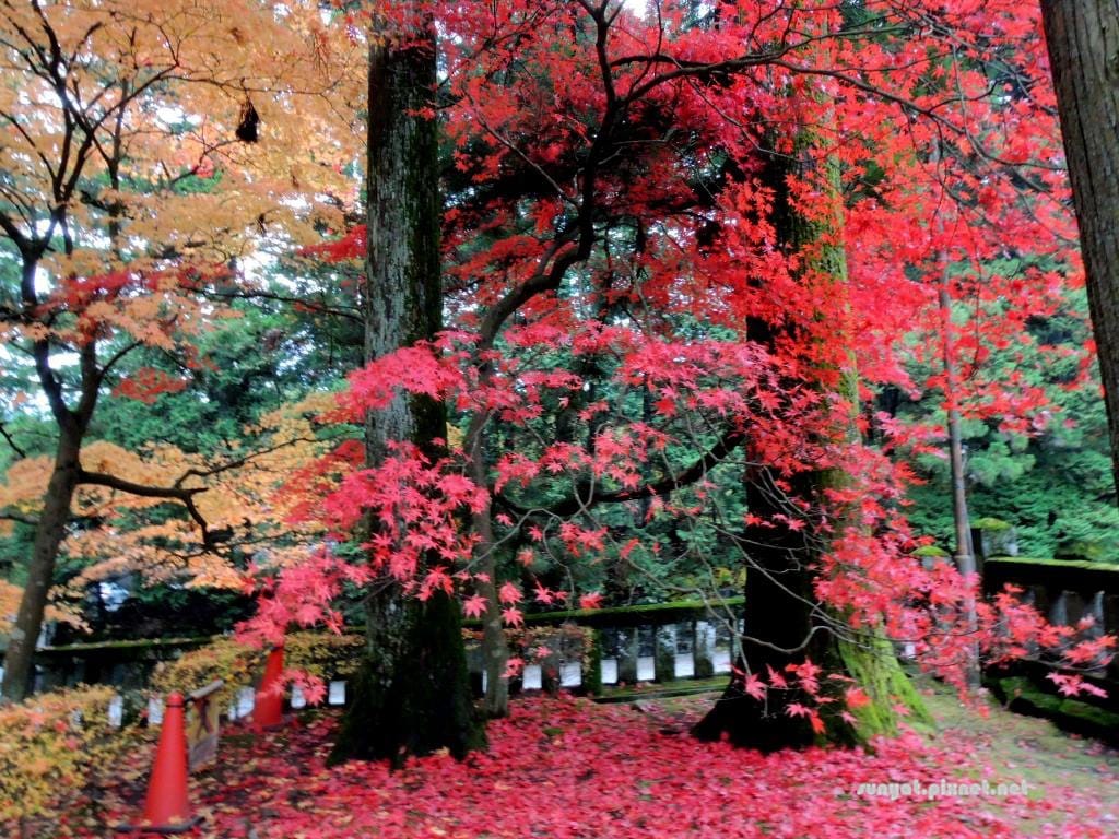 DSCN1520.JPG DSCN1520.JPG