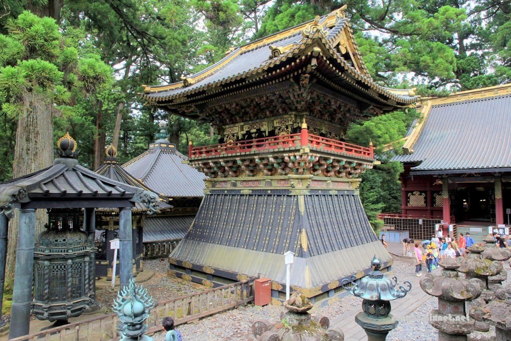 IMG_9091.JPG IMG_9091.JPG