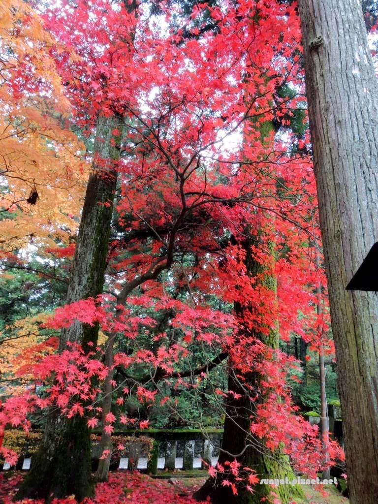 DSCN1519.JPG DSCN1519.JPG