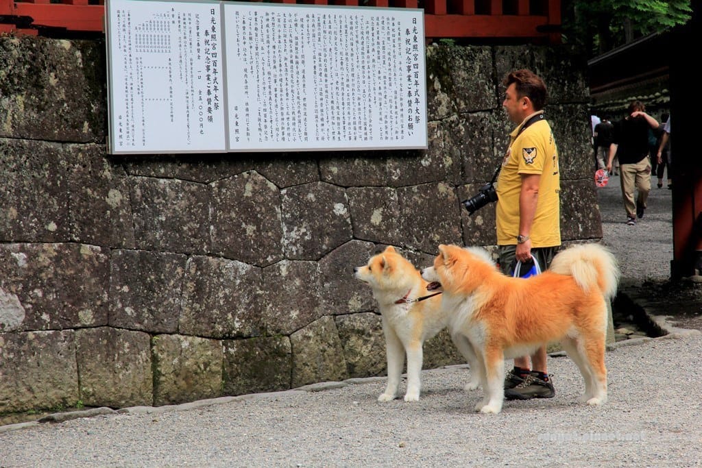 IMG_9041.JPG IMG_9041.JPG