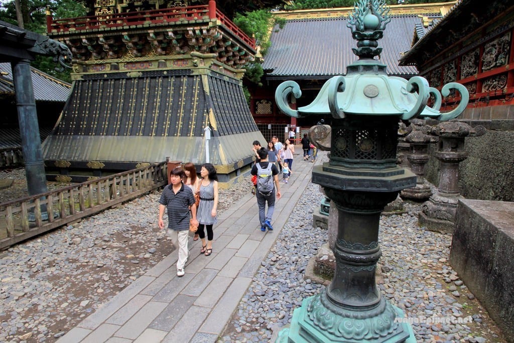 IMG_9095.JPG IMG_9095.JPG