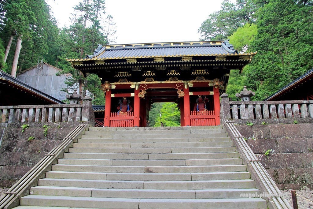 IMG_9142.JPG IMG_9142.JPG