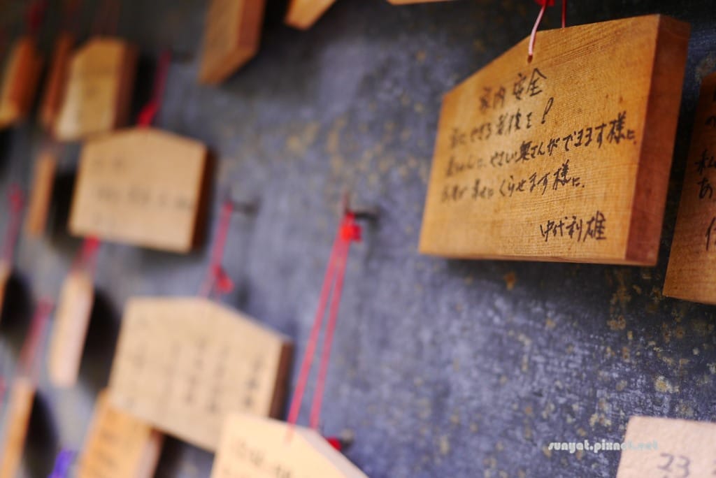 P1030555.JPG P1030555.JPG