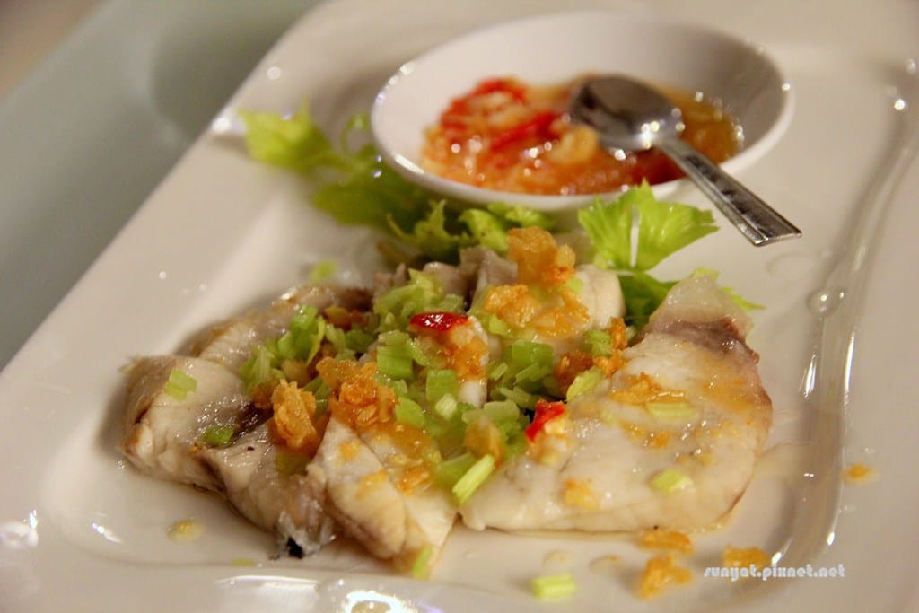 IMG_3533.JPG IMG_3533.JPG