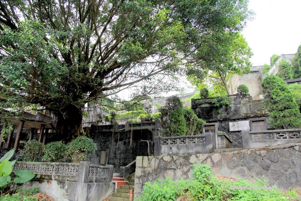 IMG_7149.JPG IMG_7149.JPG