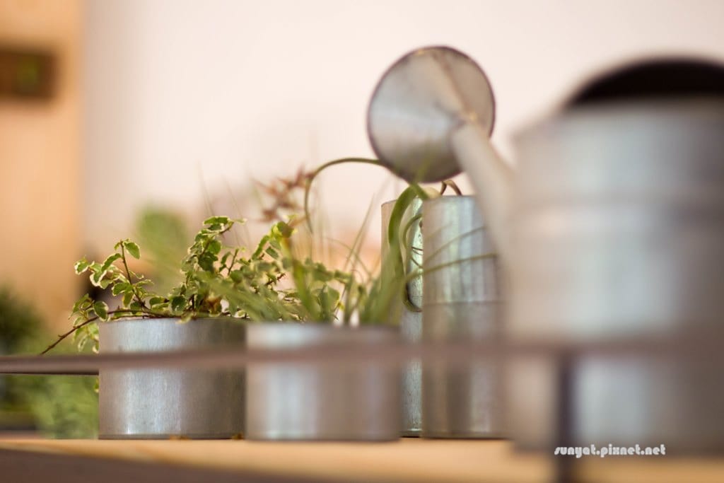 IMG_7029.jpg IMG_7029.jpg