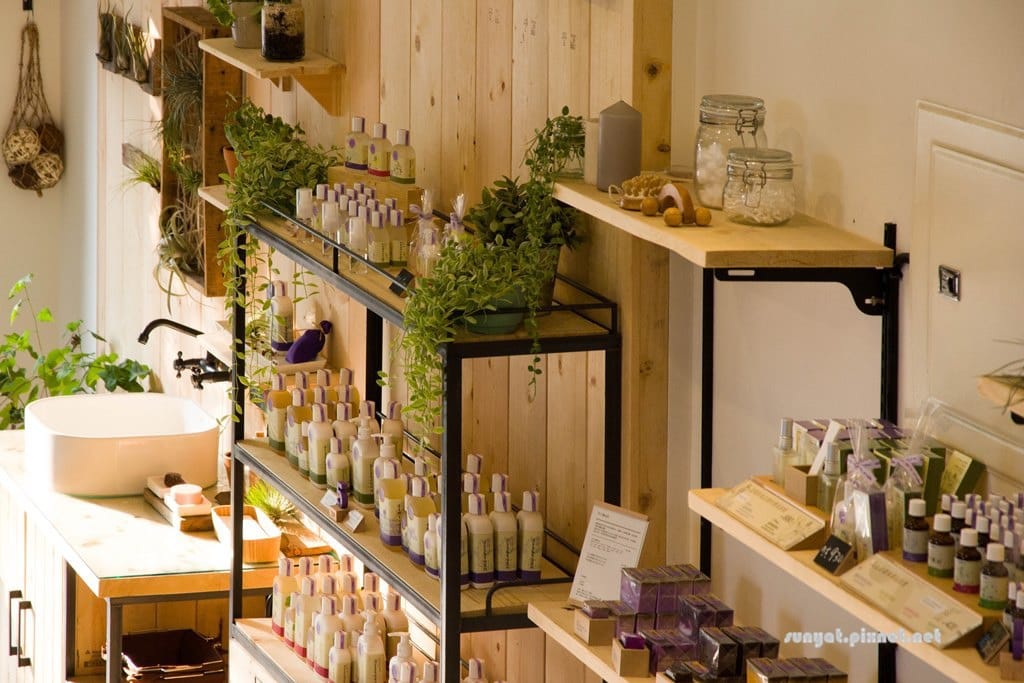 IMG_7066.jpg IMG_7066.jpg