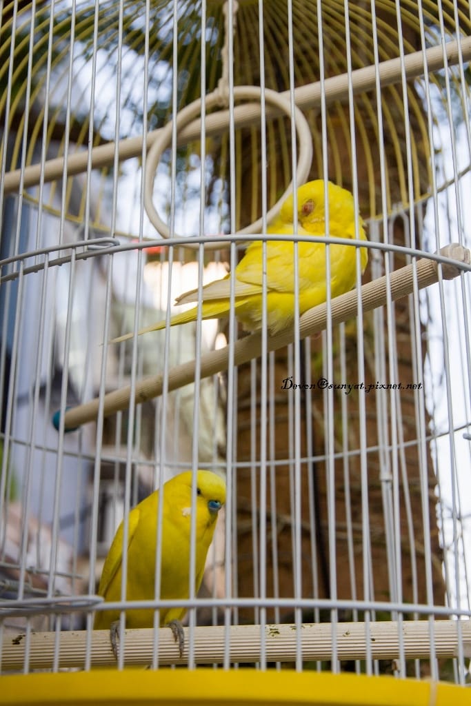 IMG_5192 (683x1024).jpg