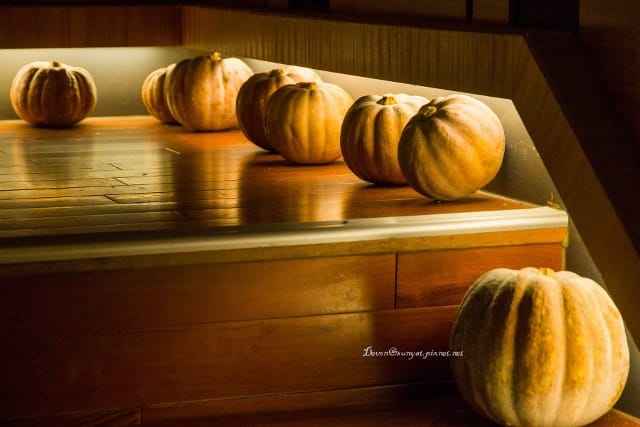 IMG_5464 (640x427).jpg