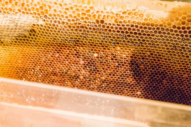 IMG_5448 (640x427).jpg