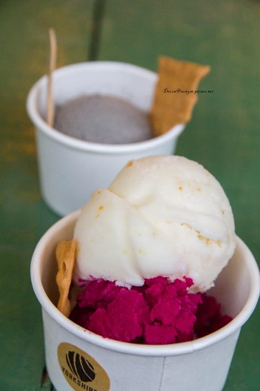 IMG_5583 (533x800).jpg