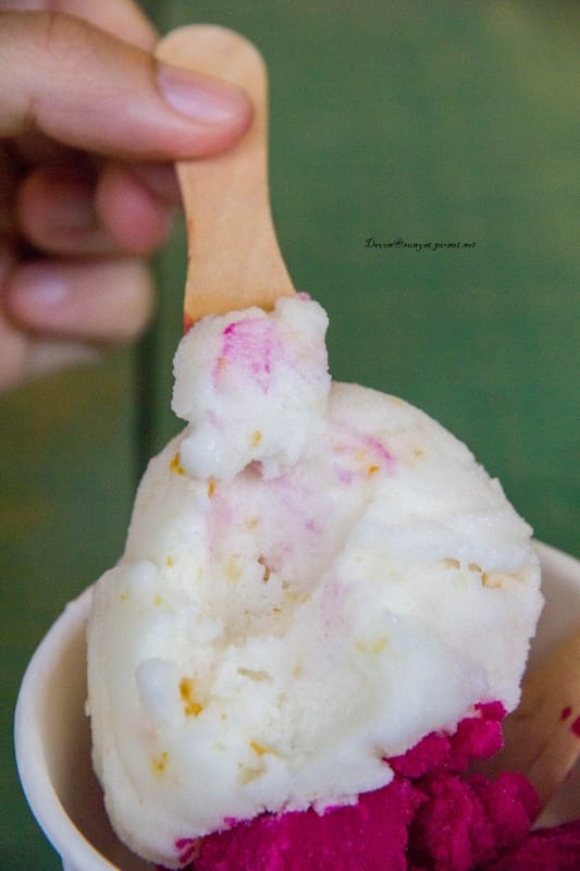 IMG_5587 (533x800).jpg