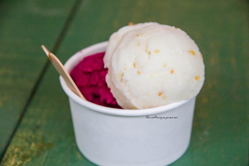 IMG_5581 (800x533).jpg