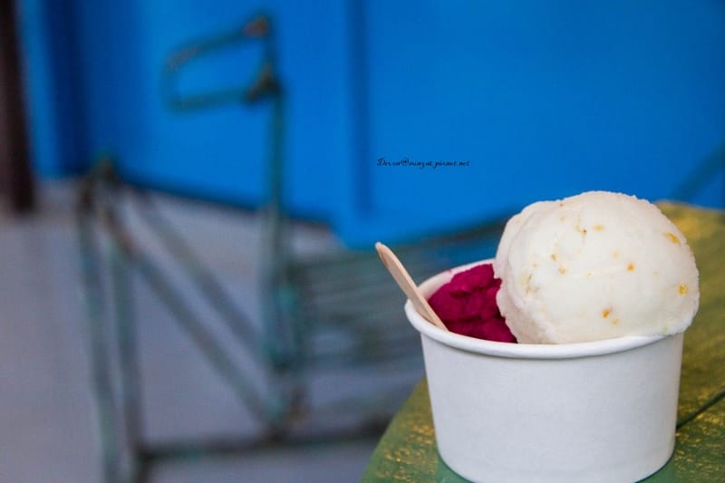 IMG_5582 (800x533).jpg