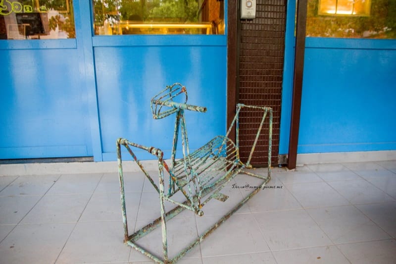 IMG_5575 (800x533).jpg