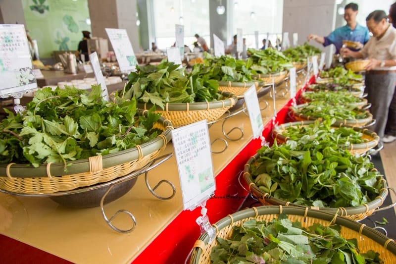 IMG_5790 (800x533).jpg