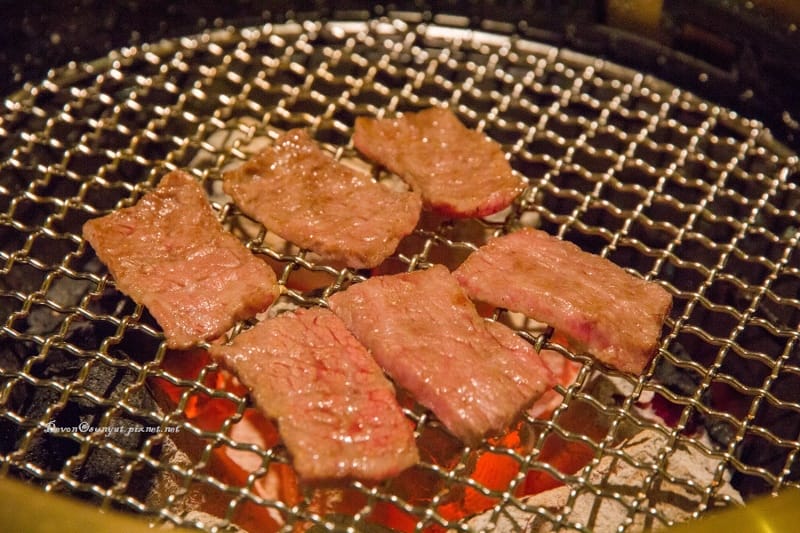 IMG_6064 (800x533).jpg