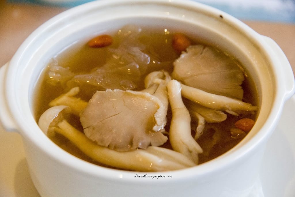 IMG_6446 (1024x683).jpg