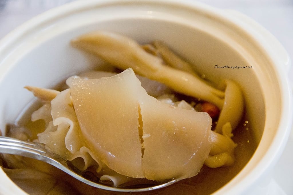 IMG_6454 (1024x683).jpg