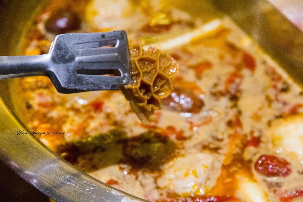 IMG_6581 (1024x683).jpg IMG_6581 (1024x683).jpg