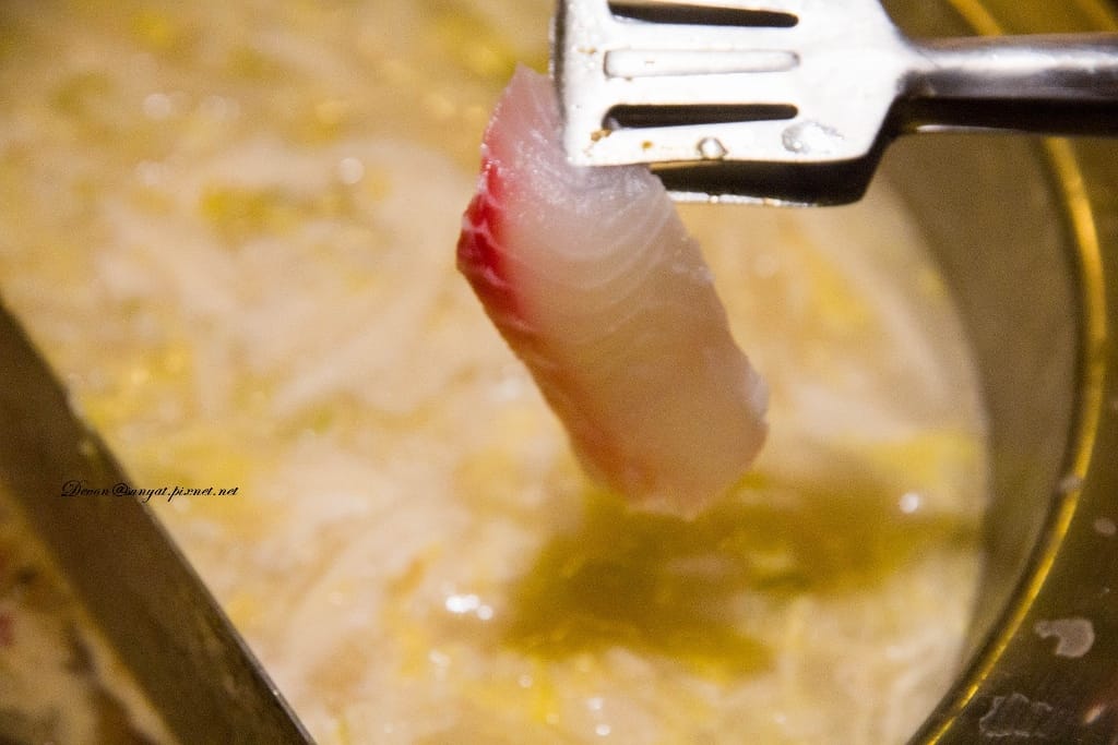 IMG_6599 (1024x683).jpg IMG_6599 (1024x683).jpg