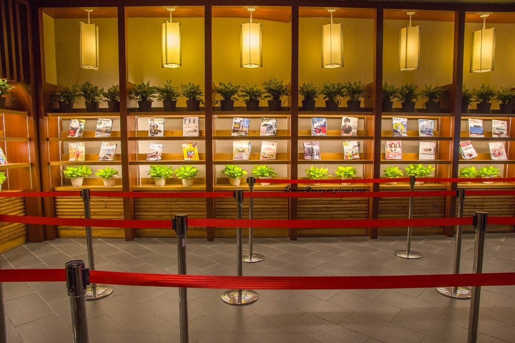 IMG_7153 (1024x683).jpg