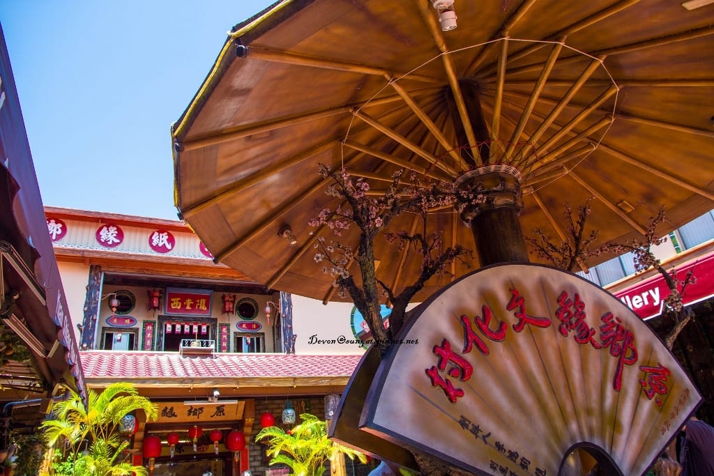 IMG_6899 (1024x683).jpg