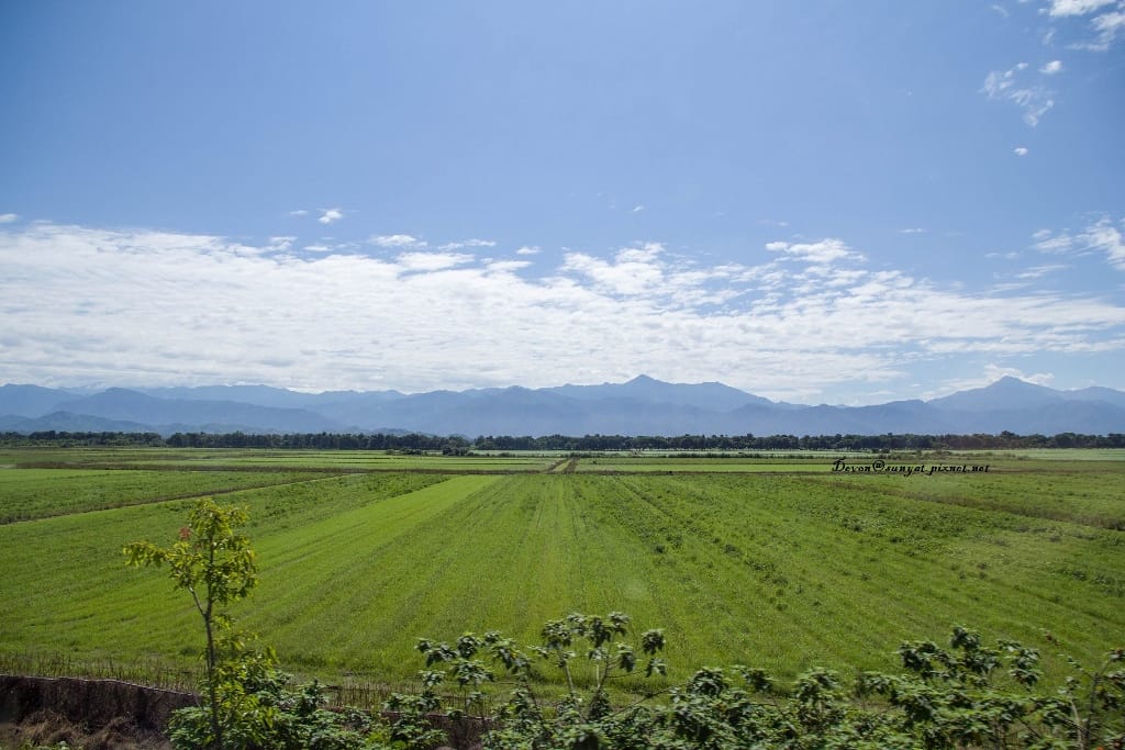 IMG_6882 (1024x683).jpg