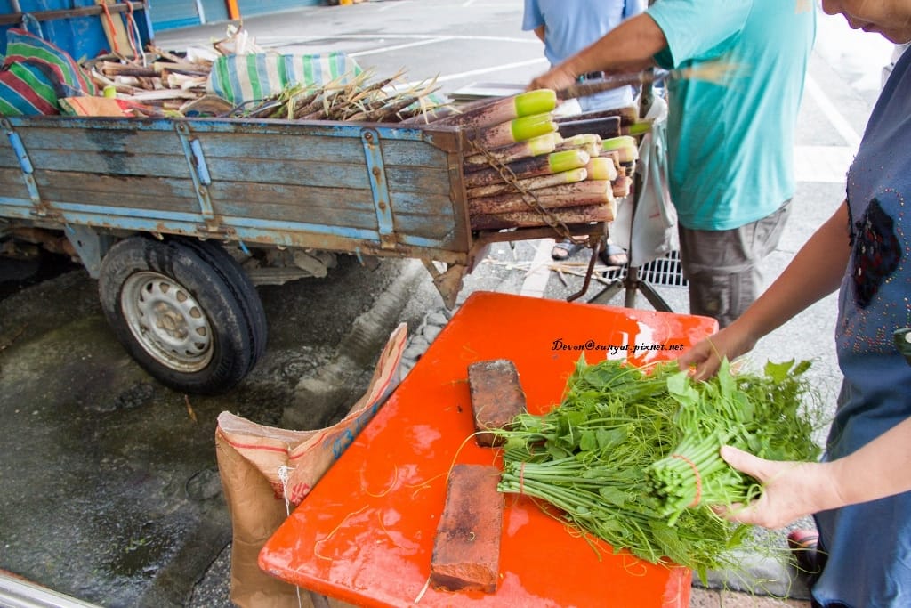 IMG_7087 (1024x683).jpg