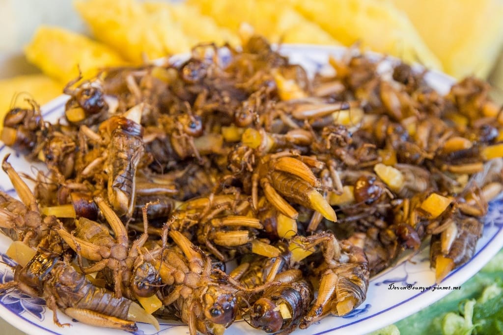 IMG_7123 (1024x683).jpg