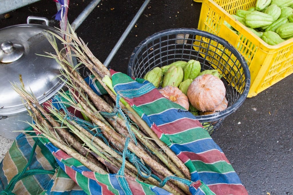 IMG_7097 (1024x683).jpg