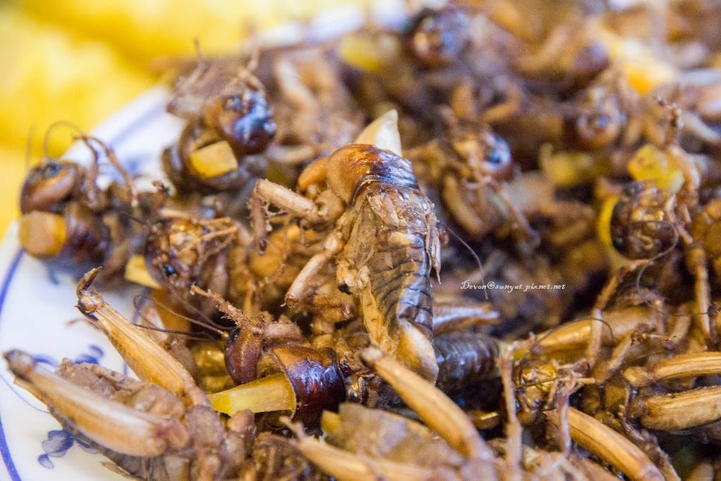 IMG_7124 (1024x683).jpg