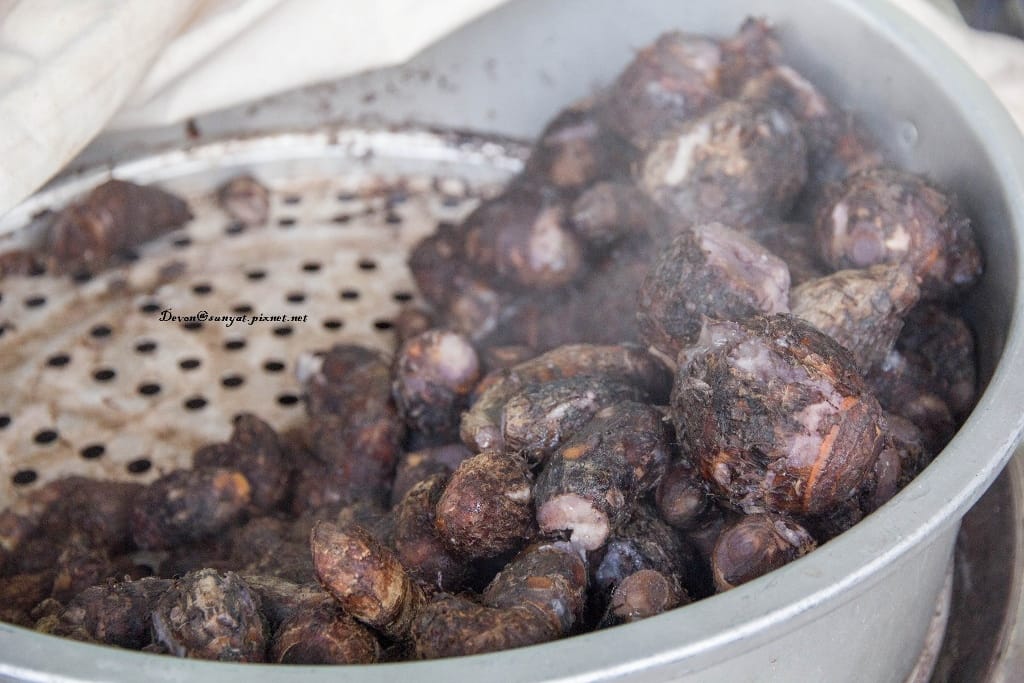 IMG_7115 (1024x683).jpg