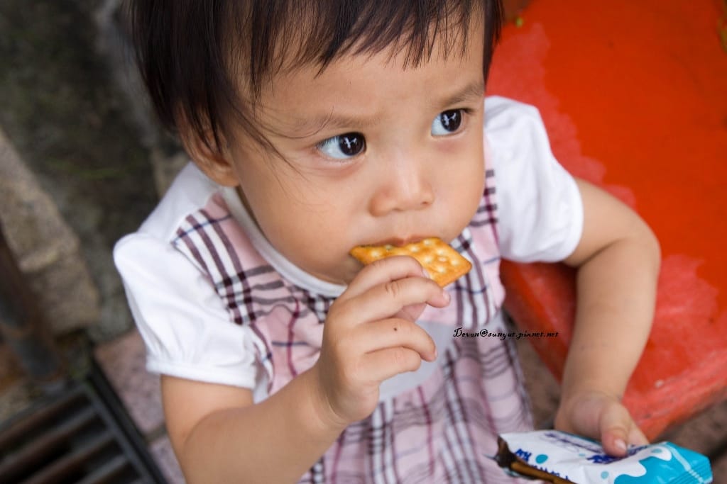 IMG_7090 (1024x683).jpg