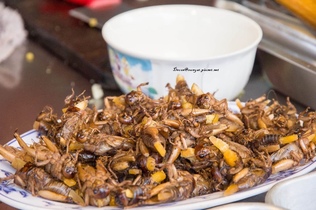 IMG_7110 (1024x683).jpg