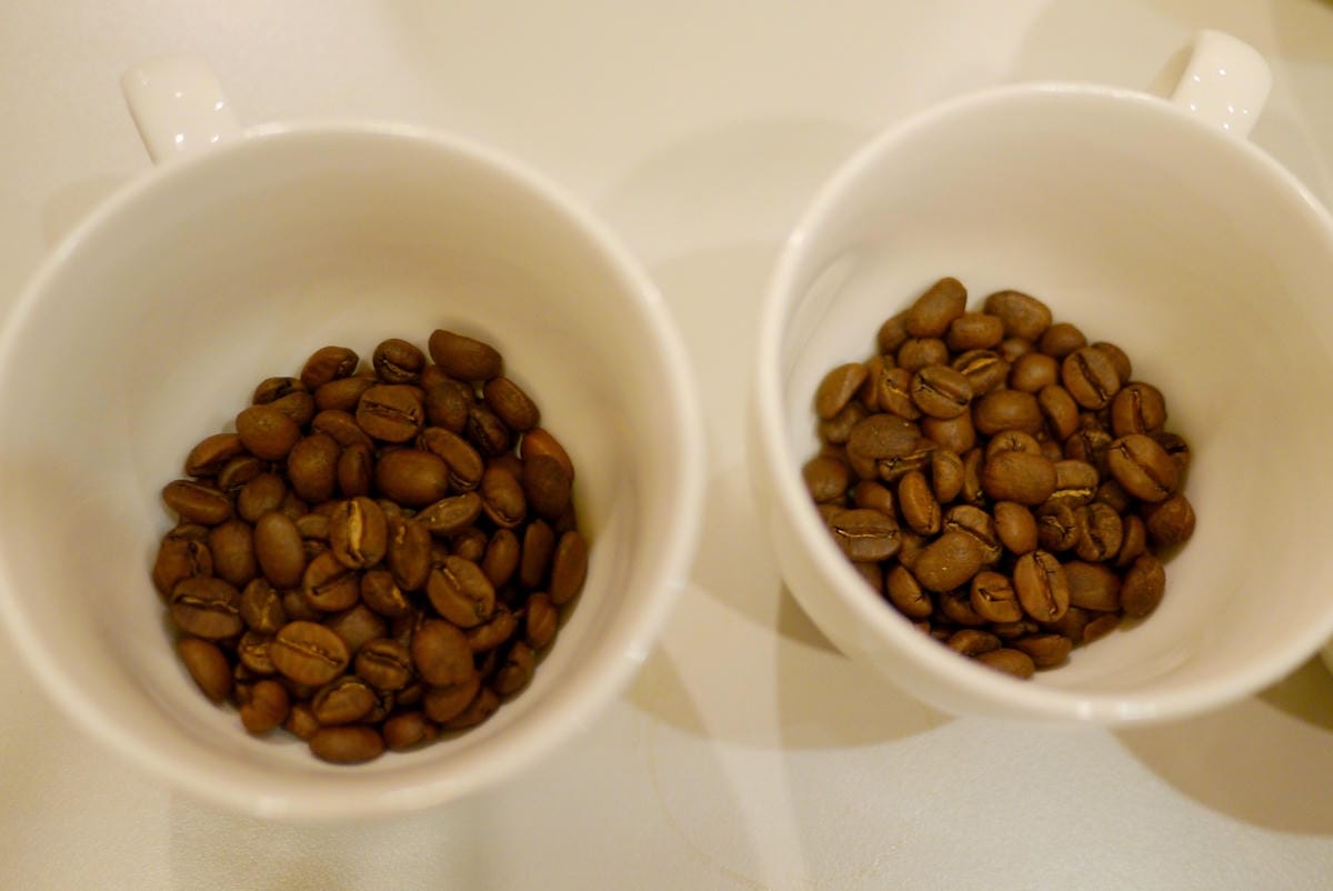 P1040452 (1280x855).jpg