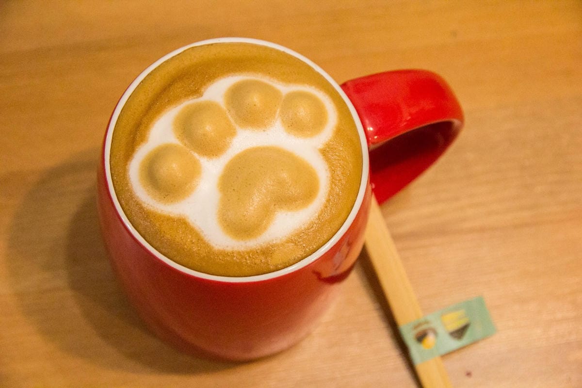 IMG_9468.jpg IMG_9468.jpg