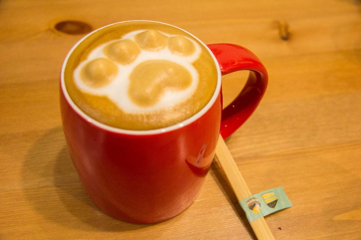 IMG_9466.jpg IMG_9466.jpg