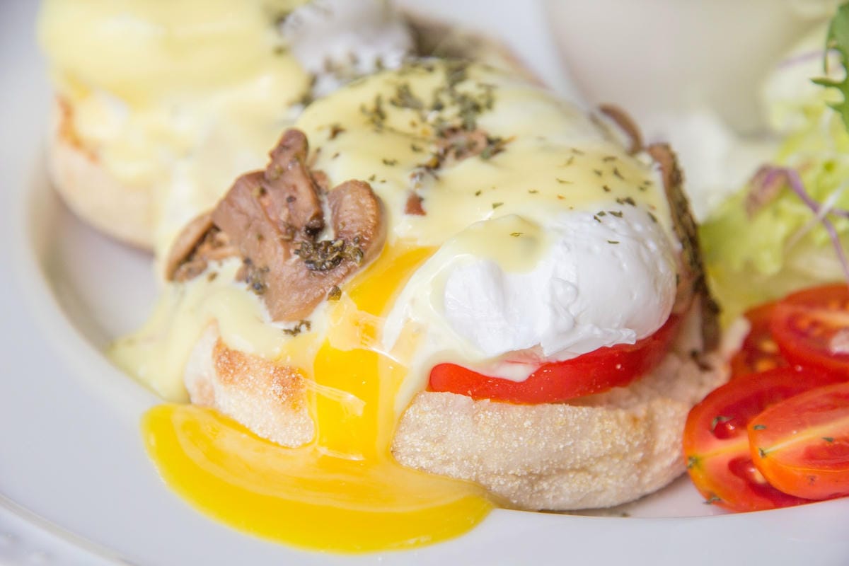 IMG_0895.JPG IMG_0895.JPG