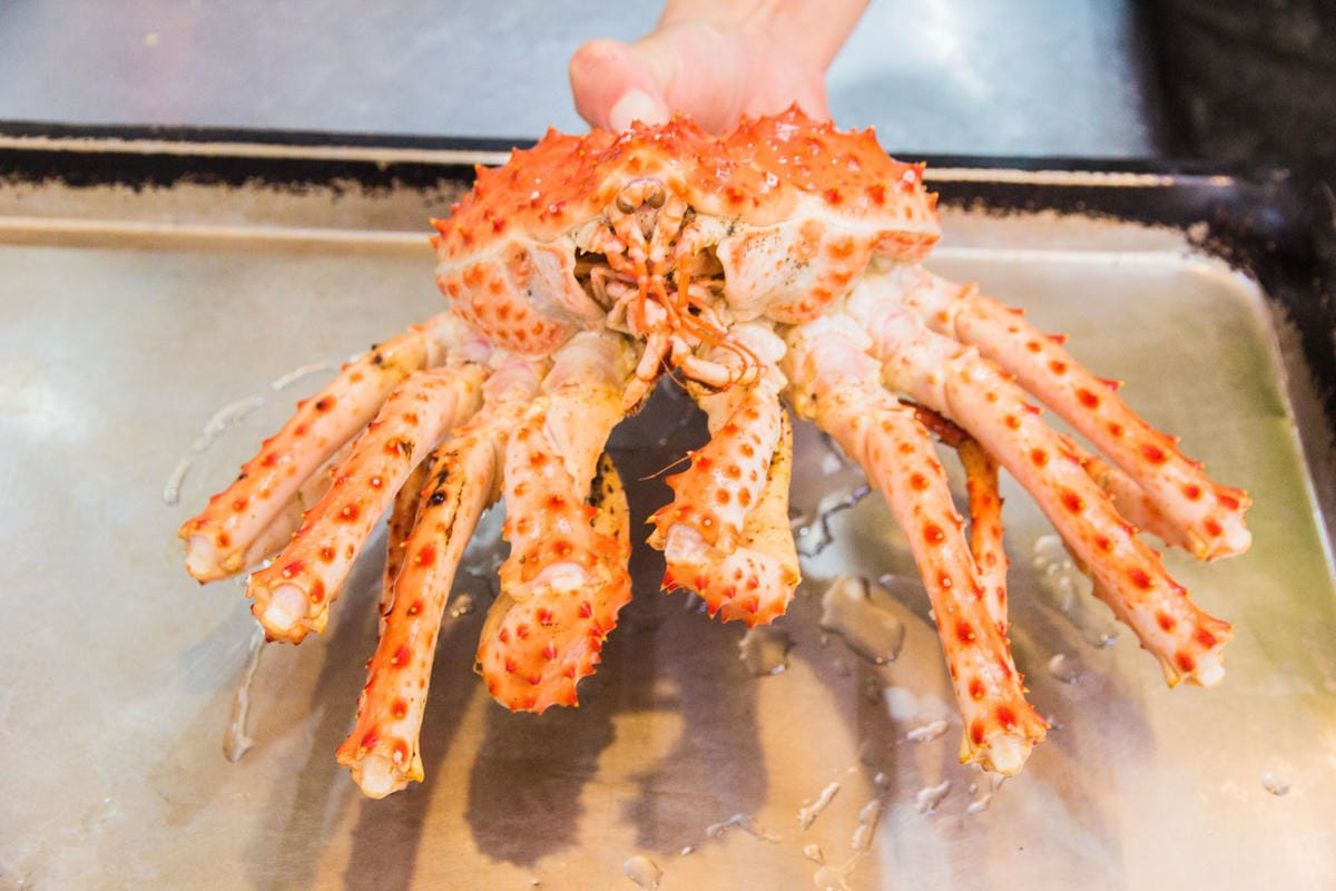 IMG_5037.JPG IMG_5037.JPG